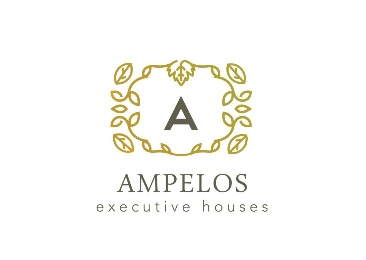 Ampelos Executive Houses Pyrgos Kallistis Ngoại thất bức ảnh